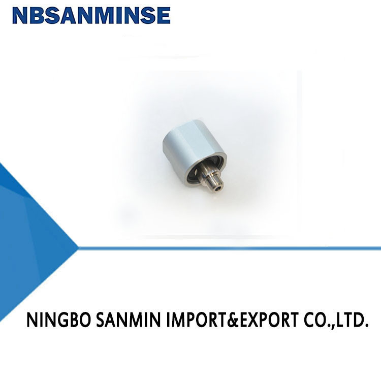 Upgrade Business Pneumatic Air Cylinder With DSC5 Guaranteed