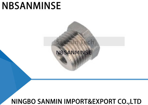 BD 전환 압축 공기를 넣은 공기 이음쇠 BSPP (g) 의 BSPT (r) 과태 실