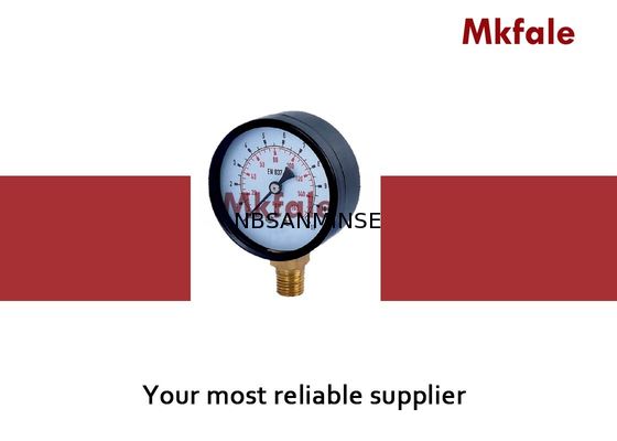 SMTB 스테인리스 액체 압력 계기 검정 강철 케이스 G/NPT/다른 사람 실