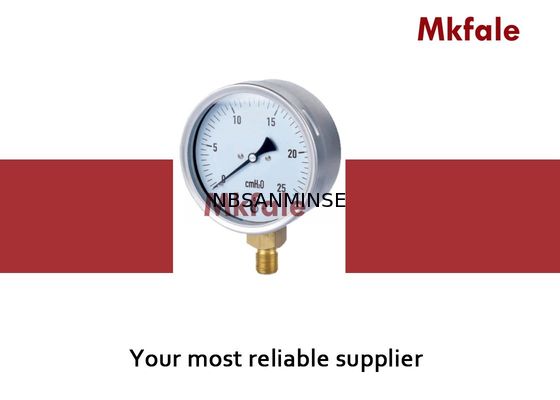 IP44 금관 악기 연결 액체에 의하여 채워지는 수압 계기 63mm 75mm 100mm 160mm